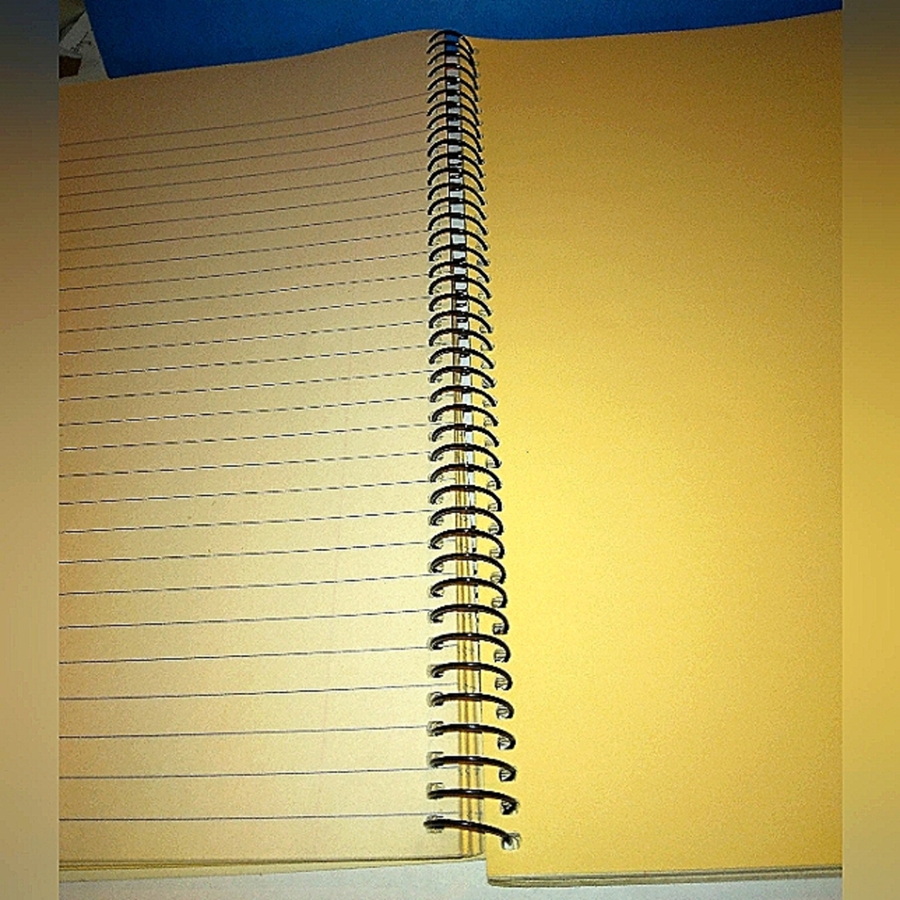 GIFTED...5 SUBJECT WIDE RULED NOTEBOOK - Picture 7 of 9